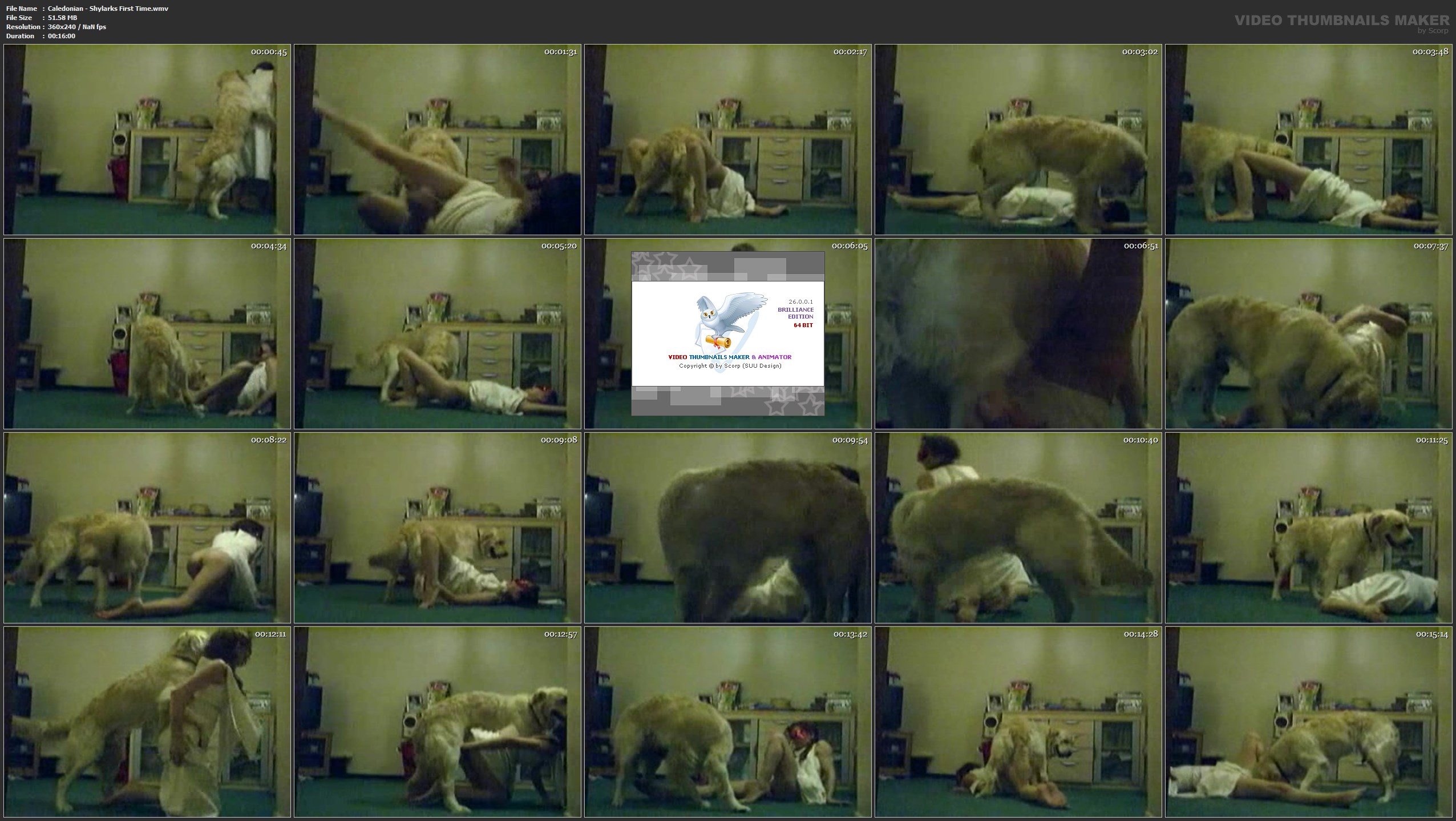 Caledonian - Shylarks First Time