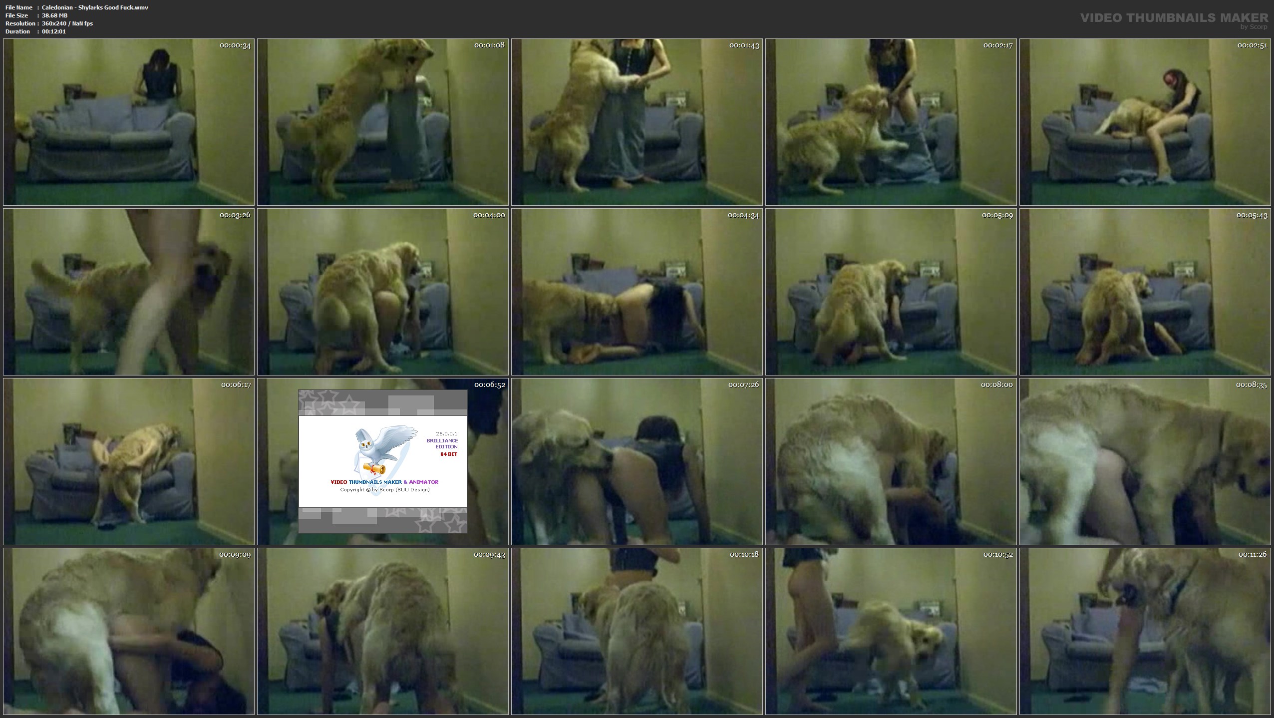  Caledonian - Shylarks Good Fuck