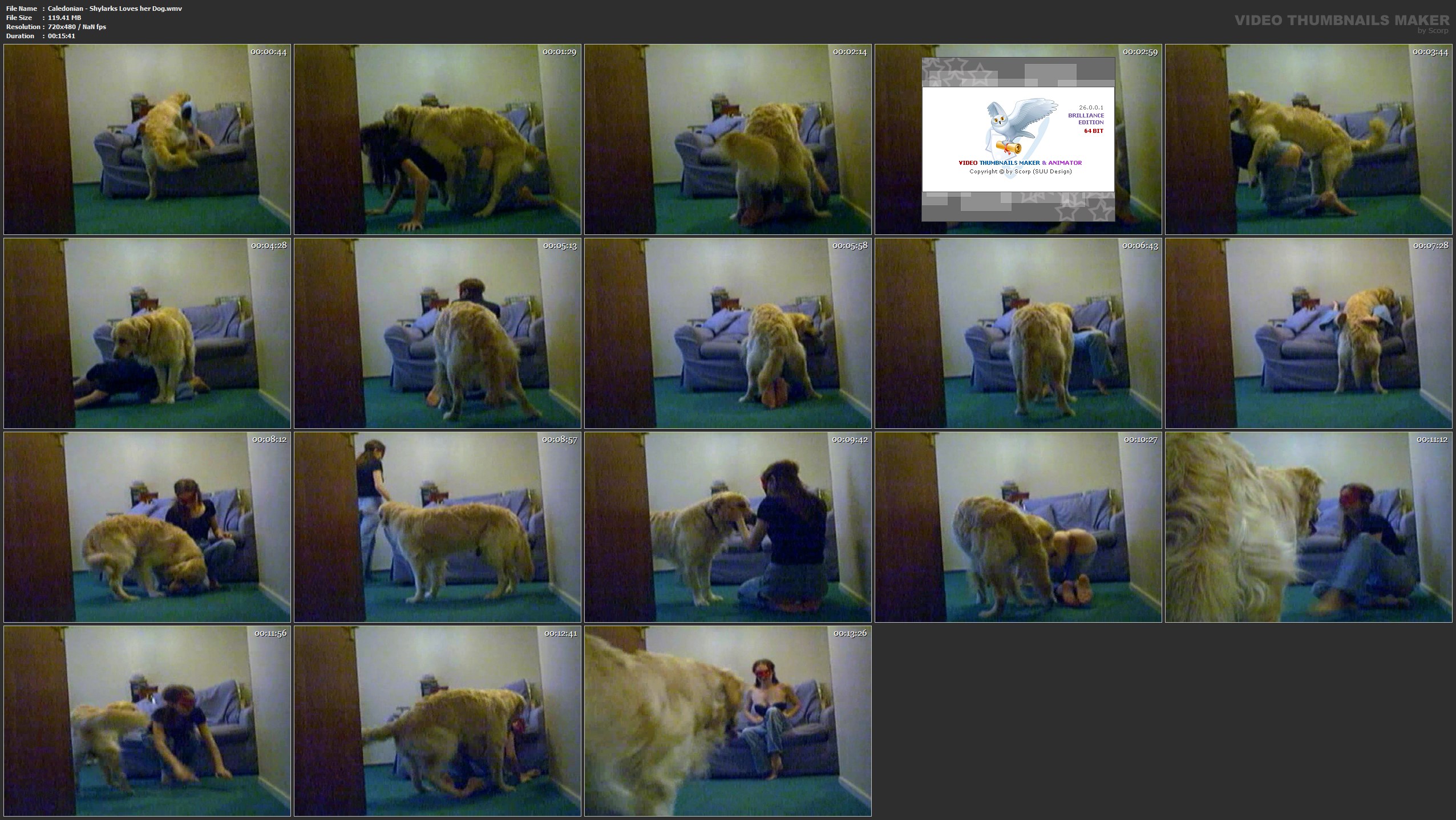  Caledonian - Shylarks Loves her Dog