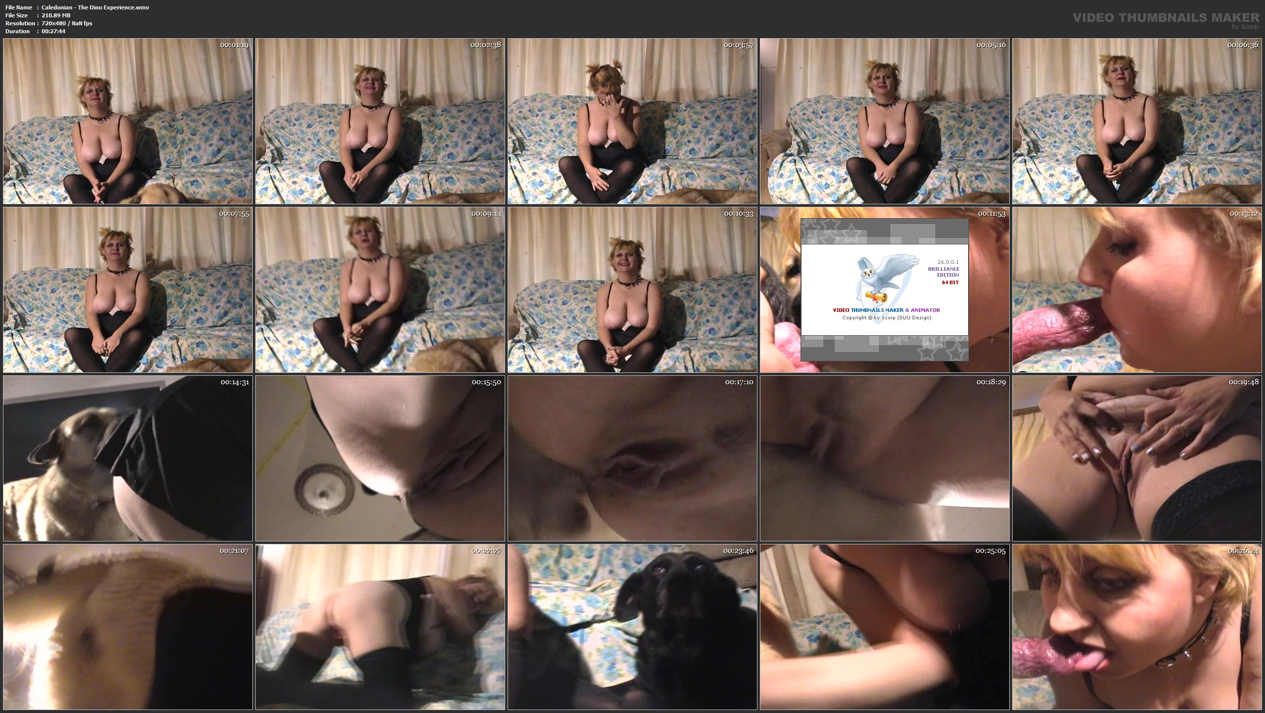 Caledonian - The Dino Experience